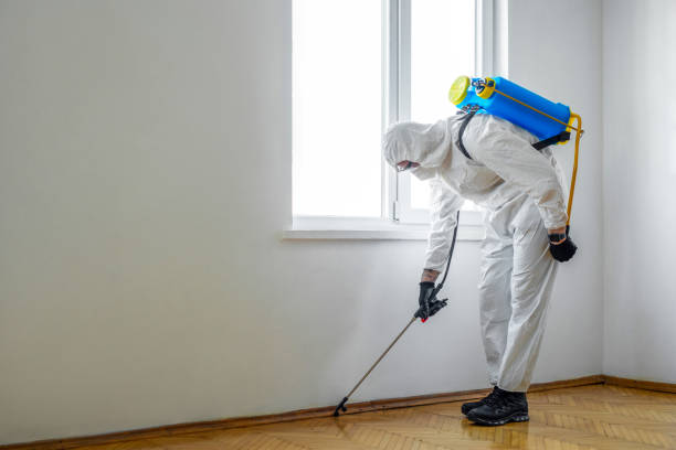 Best Exterminator Services  in Arlington, GA